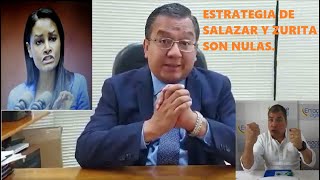 Último Abogado opositor de Correa hace Caer Estrategia de Diana Salazar y Zurita [upl. by Klockau299]