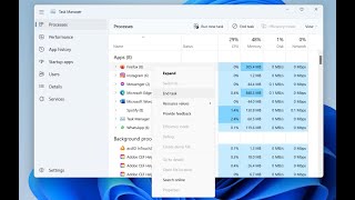 How to Pause the Windows TASK MANAGER [upl. by Corder944]