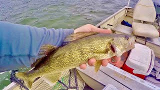 Slip Bobber Fishing for Fall Walleye Weed Edge Walleyes [upl. by Phebe]