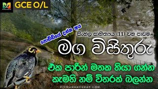 GCE OL Sinhala Sahithya  Lesson 11 Maga Wisithuru  මග විසිතුරු කවි ටික එක පාරින් පොඩ්ඩියේ තාලය​ට [upl. by Eniamzaj]