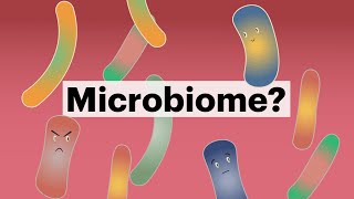 What is the microbiome [upl. by Krys846]