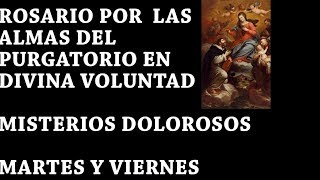 COMPLETOS MISTERIOS DOLOROSOS POR LAS ANIMAS Y POR TI EN DIVINA VOLUNTAD [upl. by Larry]