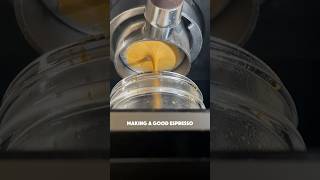 Making a good espresso espresso workflow shorts delonghi [upl. by Naegem17]