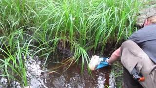 Wasilla Alaska Bushcraft Purifying Water [upl. by Forward]