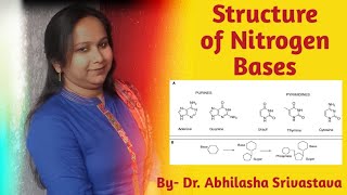 Structure of Nitrogen Bases Purine Adenine Gaunineamp Pyrimidine Cytosine Uracil amp Thymine [upl. by Humpage]