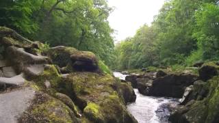 Strid Wood  Bolton Abbey [upl. by Adamski]