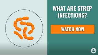 Strep Infections The Causes Symptoms and Diagnosis  Merck Manual Consumer Version Quick Facts [upl. by Kalagher]