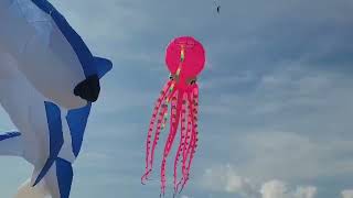 Cape fear kite festival 2024 [upl. by Walker]