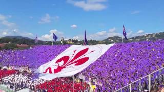 Fiorentina  Genoa 140914 Coreografia curva Fiesole  inno Fiorentina cantato dai tifosi [upl. by Fradin]