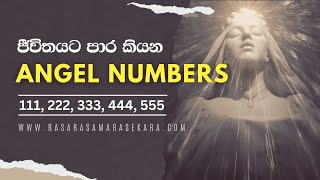 111 222 333 444 555 දේවදූත සංඛ්‍යාවල තේරුම  angel numbers sinhala  rasara samarasekara [upl. by Anirda]