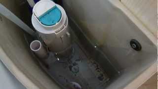 How to remove the water and clean the cistern from a WC cistern that will not flush [upl. by Yrevi]