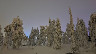 Strolling up the slope of Ruka Ski Resort Finland [upl. by Prinz793]