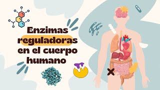 ENZIMAS REGULADORAS  BIOQUÍMICA [upl. by Alema]