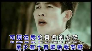 当我想你的时候 DANG WO XIANG NI DE SHI HOU pinyin Lyric [upl. by Ednew]