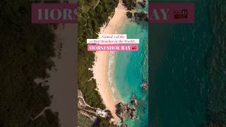 Horseshoe Bay in Bermuda  One of the Worlds Top Beaches  Go To Bermuda [upl. by Armilla]