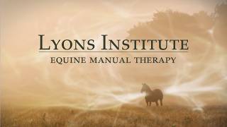 Lyons Institute  Equine Craniosacral and Myofascial Massage Course [upl. by Athalie450]