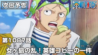 ONE PIECE 1087話予告「女ヶ島の乱！英雄コビーの一件」 [upl. by Penelope]