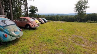 What did I buy VW Beetle Collection [upl. by Xino]