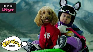 Waffle the Wonder Dog Song  Friends and Family  CBeebies [upl. by Burk]