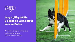 FREE Webinar Dog Agility Skills  5 steps to wonderful weaves [upl. by Nahtanohj]