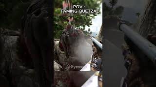 POV TAMING QUETZAL ARK [upl. by Rodrigo]