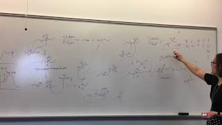 Amide reduction mechanism  LiAlH4 [upl. by Geraint210]