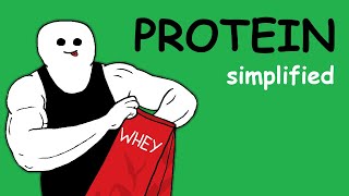 Bodybuilding Simplified Protein [upl. by Babs797]