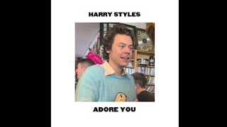 Harry Styles  Adore You Live at NPR’s Tiny Desk [upl. by Etnahs271]