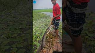 Boat Fishing Video 2024 part 133shortsshortvideo viral viralvideo fishing fishboatfishing [upl. by Jasmina]