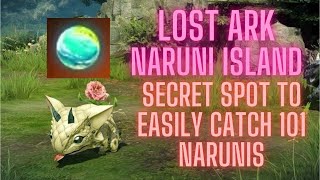 Lost Ark Naruni Island Guide Easily Catch 101 Narunis [upl. by Adnorhs]