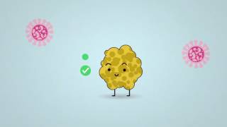 Science in 1 minute what are lichens [upl. by Diba]