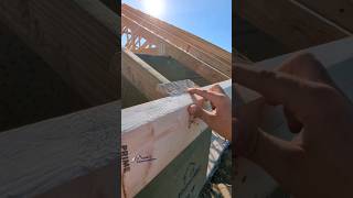 SubFascia For Roof Sheeting  METAL ROOF INSTALL metalroof notshingles couldvelathed framing [upl. by Ondine]