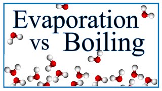 Boiling vs Evaporation Definition Examples amp Explanation [upl. by Acirederf779]