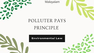 Polluter Pays Principle  under Environment Law [upl. by Annaiel]