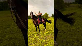 Cutebaby and Horse 🐎  horse horses ghoda horseriding horselover ytvideo shortsfeed dhruhi [upl. by Scherman374]