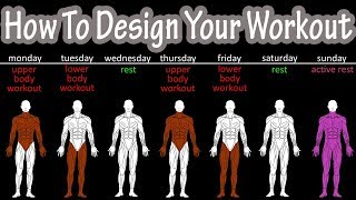 How To Create A Workout Plan For Beginners  How To Create Your Own Workout Schedule Program Plan [upl. by Lyrad18]