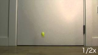 Bouncing Ball Reference [upl. by Uta]