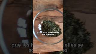 Infusettes VS plantes séchées non broyées plantesmedicinales tisane infusion [upl. by Grania]