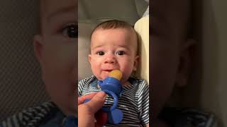 Baby taste test ytshorts baby food organic teether firsttime fyp follow subscribe [upl. by Oberheim]