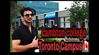 Lambton College  🇨🇦 Toronto Campus 🇨🇦 College Tour  Cestar College  Students Review [upl. by Suivatram]