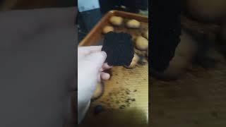 Burnt my chocolate chip cookies [upl. by Rhody87]