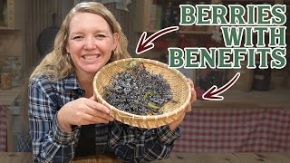 They Bought An Elderberry Business How Elderberries can help you Thrive [upl. by Consuela485]