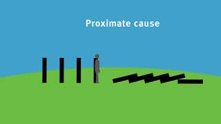 Proximate cause [upl. by Ayahs]