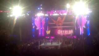 Layla Alicia Fox Aksana vs Bella Twins Funkadacyls Natalya and AJ Lee Live Entrances 9913 [upl. by Clem]