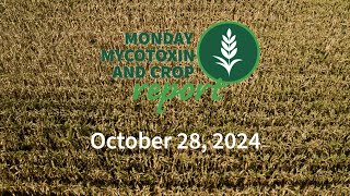 Monday Mycotoxin and Crop Report for October 28 2024 [upl. by Niajneb458]