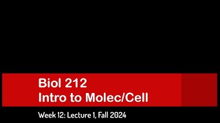 CSULB Biol 212 Fall 2024  Week 12 Lecture 1 [upl. by Darian]