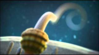 Irreducible Complexity The Bacterial Flagellum [upl. by Meurer588]