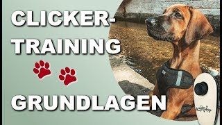 Clickertraining 2021  Hund Grundkommandos und Tricks beibringen  Grundlagen [upl. by Langham412]