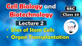 Cell Biology and Biotechnology Lecture 2  Class 10 SSC  Uses of stem cells Organ transplantation [upl. by Ardnued622]