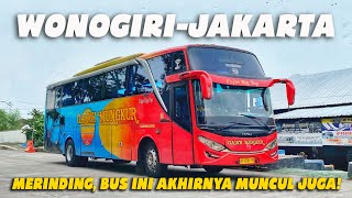 Entah Kapan Ada Lagi Saya Merasa Beruntung Bisa Naik Bus GAJAH MUNGKUR Trip Langka Bus Langka [upl. by Noillimaxam]